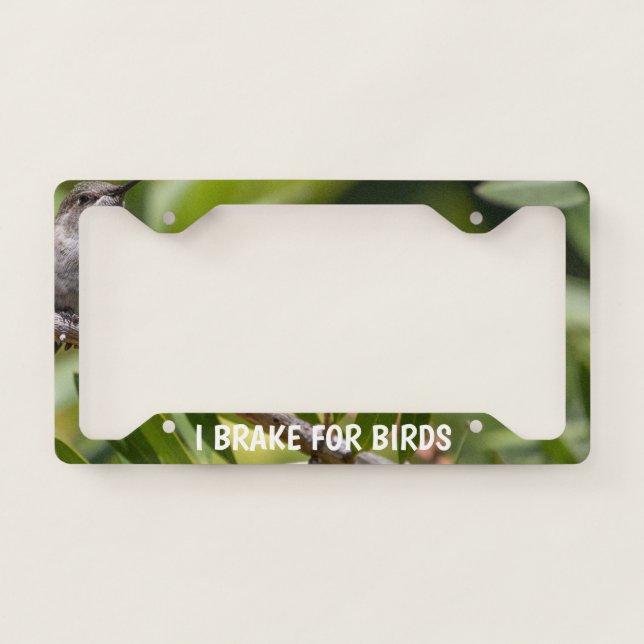 Hummingbird License Plate Frame (Front)