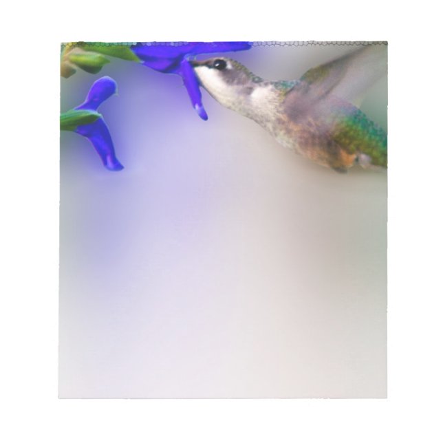 Hummingbird Lunch Notepad (Front)