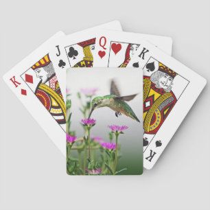 Hummingbird Lunch Poker Cards