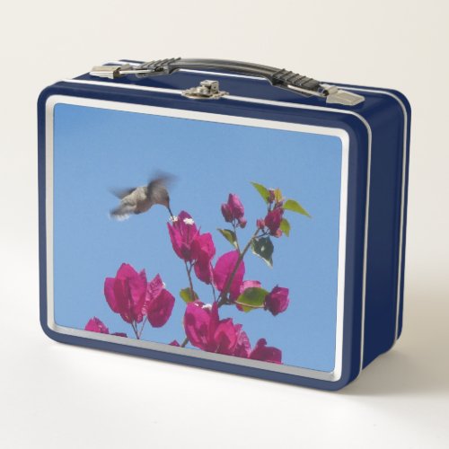 Hummingbird Lunchbox