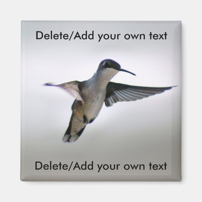 Hummingbird Magnet (Front)
