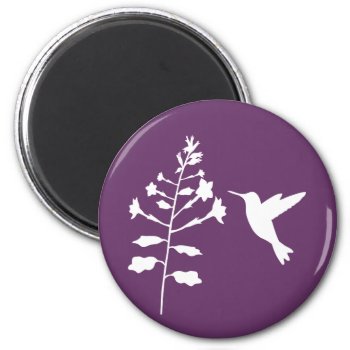 Hummingbird Magnet by warrior_woman at Zazzle
