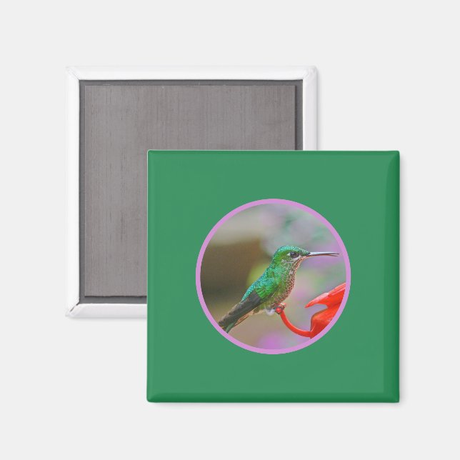  HUMMINGBIRD  MAGNET (Front/Back)