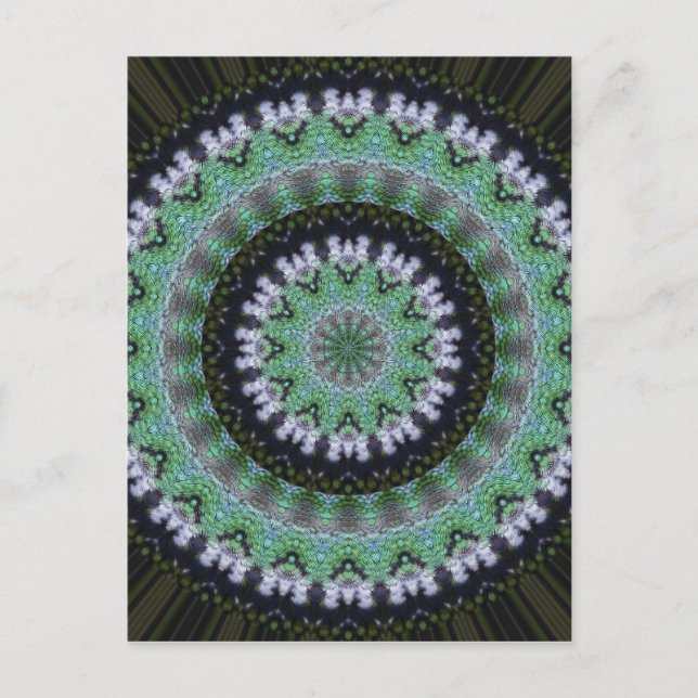 Hummingbird Mandala Postcard (Front)