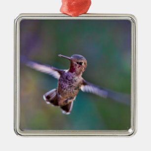 Hummingbird Metal Ornament