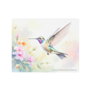Hummingbird Metal Print