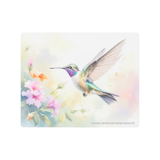 Hummingbird Metal Print