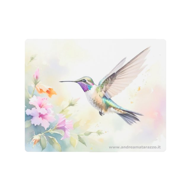 Hummingbird Metal Print (Front)