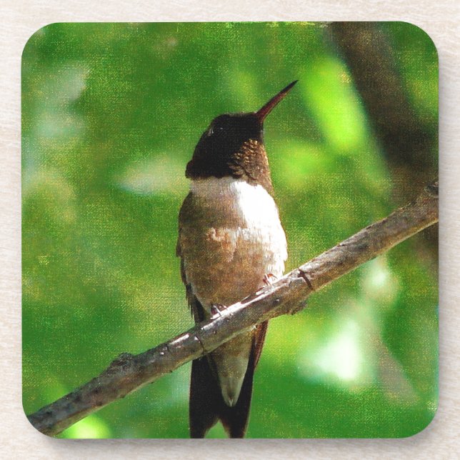 Hummingbird Morning Beverage Coaster (Front)