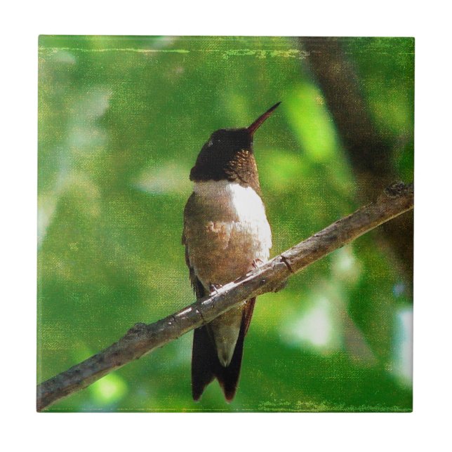 Hummingbird Morning Ceramic Tile (Front)