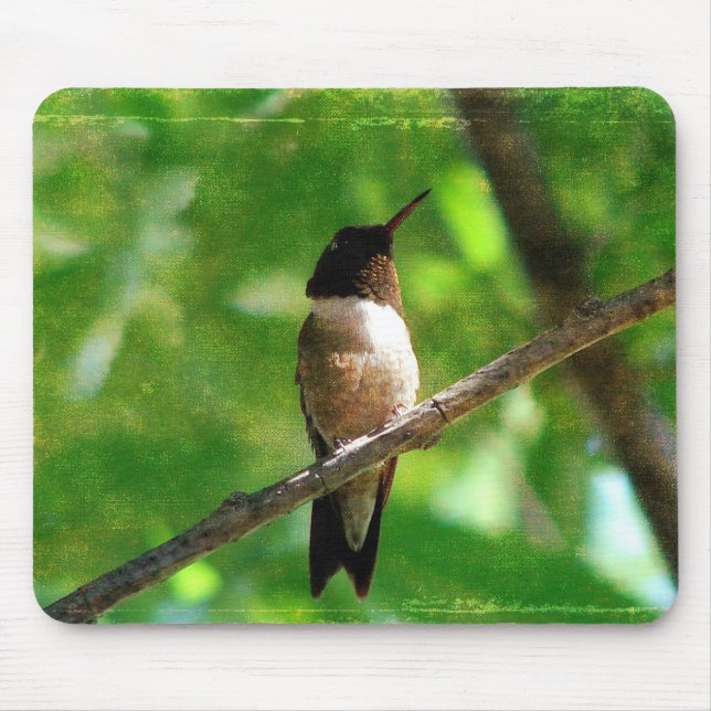 Hummingbird Morning Mouse Pad (Front)