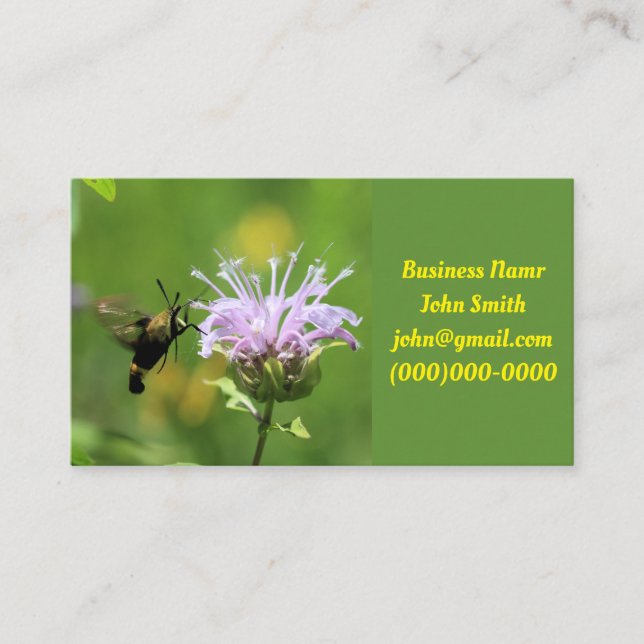 Hummingbird Moth Business Card (Front)
