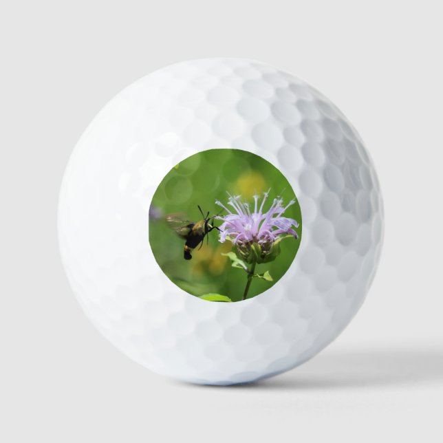 Hummingbird Moth Golf Balls (Front)