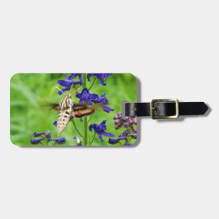 Hummingbird moth luggage tag