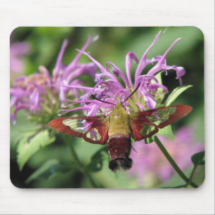 Hummingbird Moth Mousepad