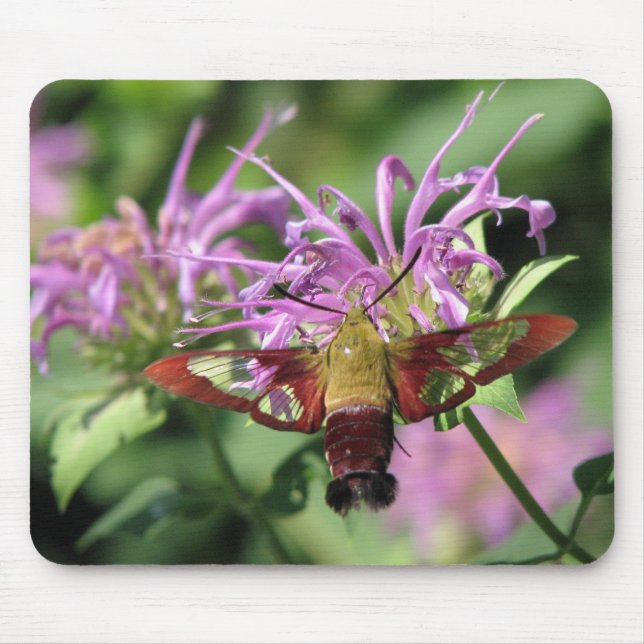 Hummingbird Moth Mousepad (Front)