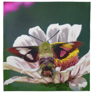 Hummingbird Moth Napkin