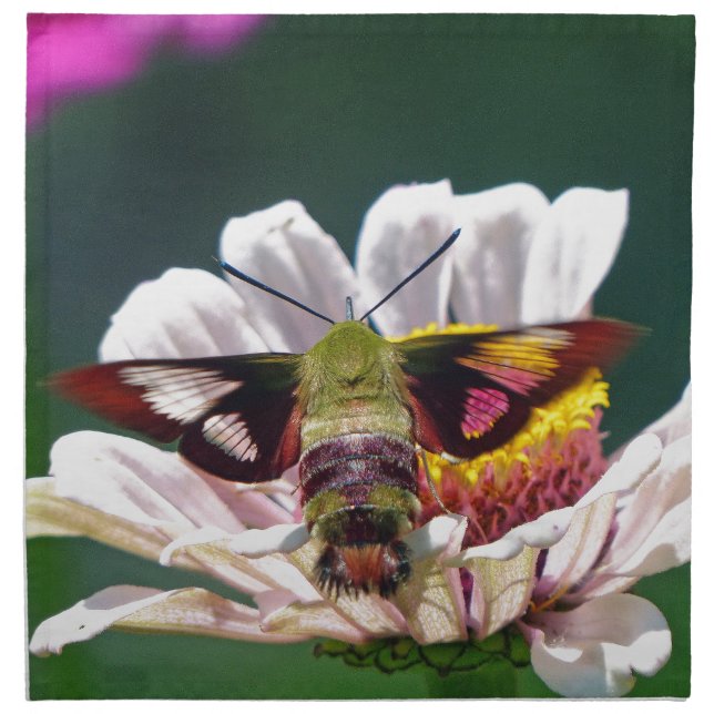 Hummingbird Moth Napkin (Front)
