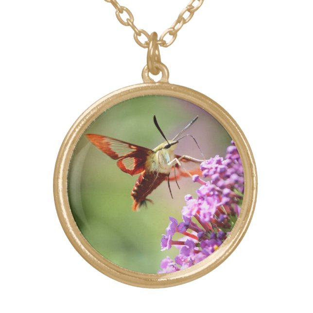 Hummingbird Moth on a Butterfly Bush  Gold Plated Necklace (Front)