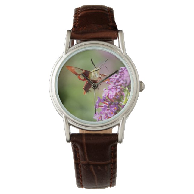 Hummingbird Moth on a Butterfly Bush  Watch (Front)
