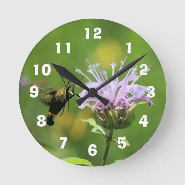 Hummingbird Moth Round Clock (Front)
