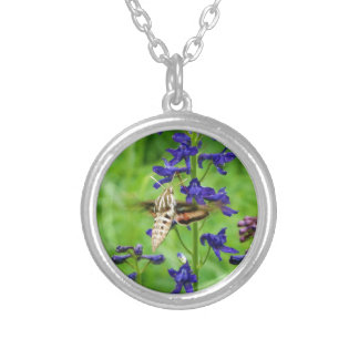Hummingbird moth silver plated necklace