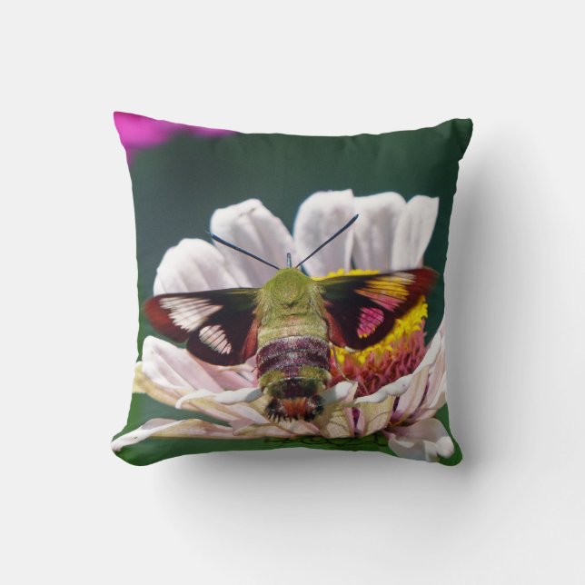 Hummingbird Moth Throw Pillow (Front)