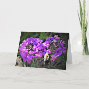 Hummingbird Moth & Verbena, card
