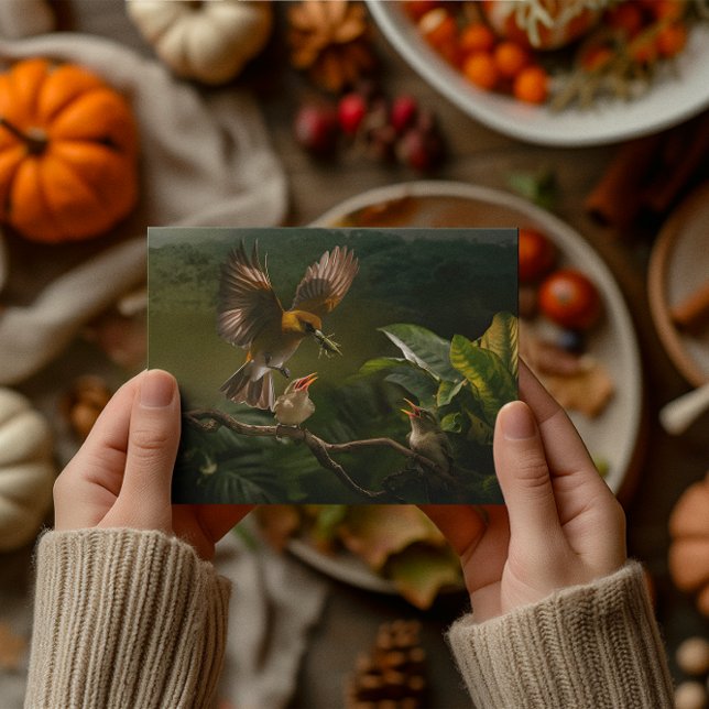 Hummingbird Mother birds balances gracefully  Postcard (Creator Uploaded)