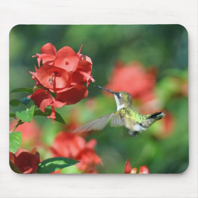Hummingbird Mouse Pad (Front)
