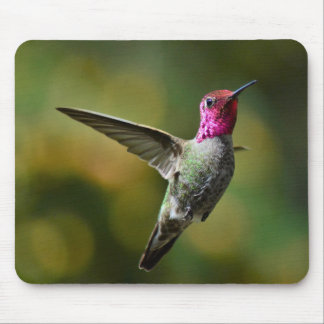 Hummingbird mouse pad