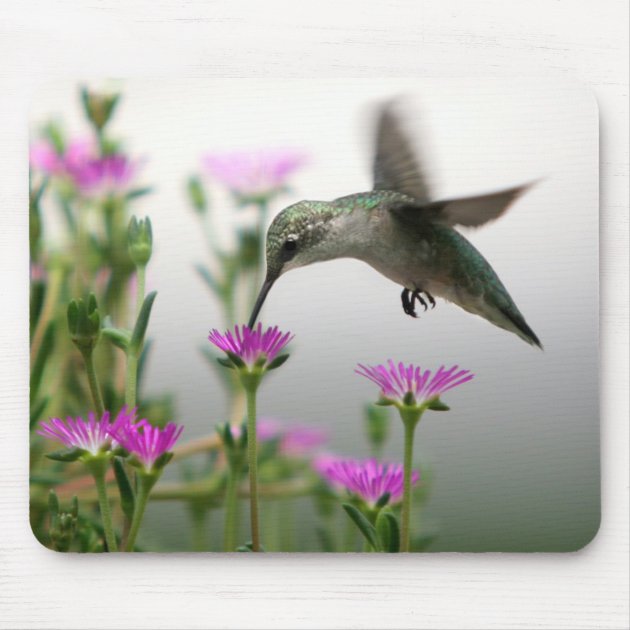 Tappetino Mouse Incredibile Hummingbird – Uccelli Tropicali, 19,6x23,5 Cm, Morbido E Antiscivolo - 2