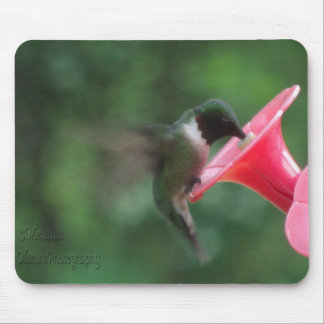 hummingbird mousepad