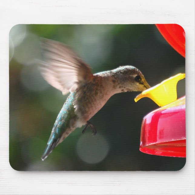 Hummingbird, mousepad (Front)