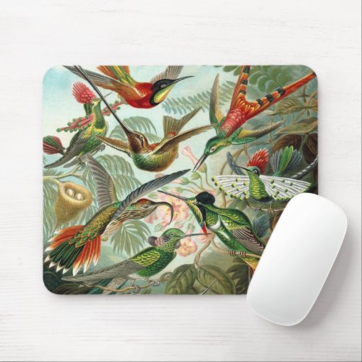 Hummingbird Mousepad | Zazzle