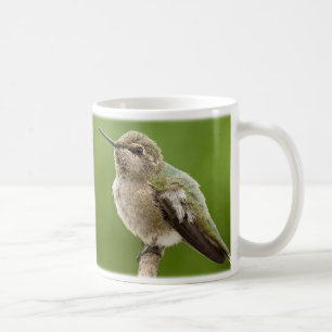 Hummingbird Mug