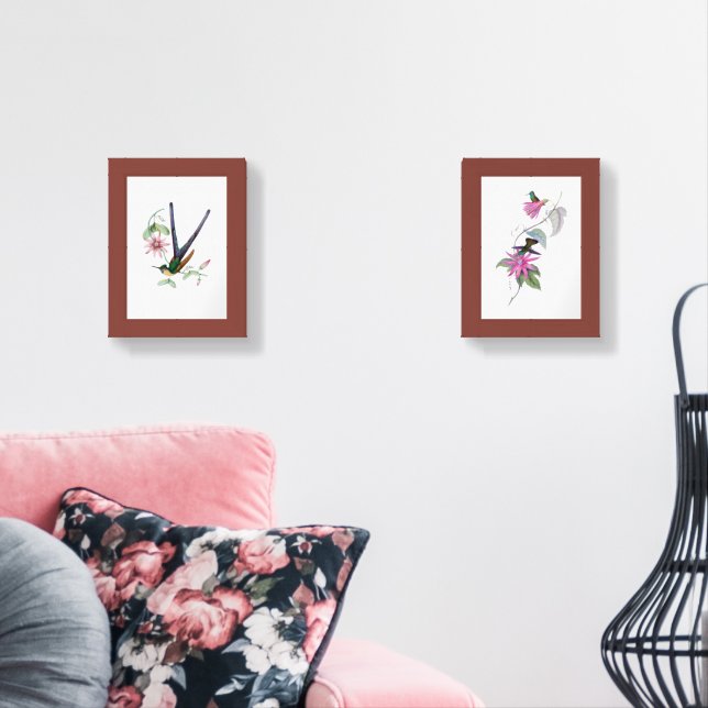 Hummingbird Natural History Prints (Livingroom)