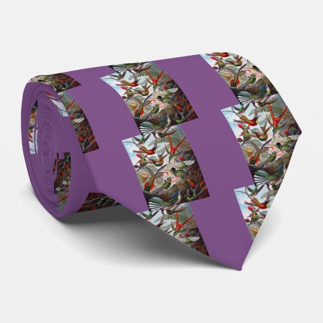Hummingbird Neck Tie (Rolled)