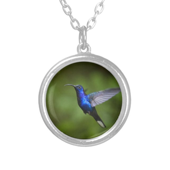 HUMMINGBIRD NECKLACE (Front)