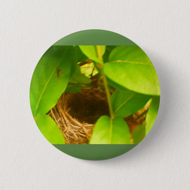 Hummingbird Nest Nestled in Honeysuckles Button (Front)