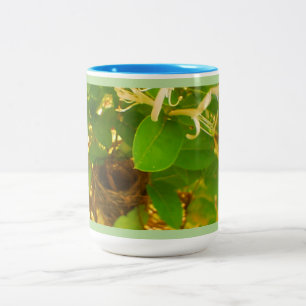 Hummingbird Nest Two-Tone Coffee Mug