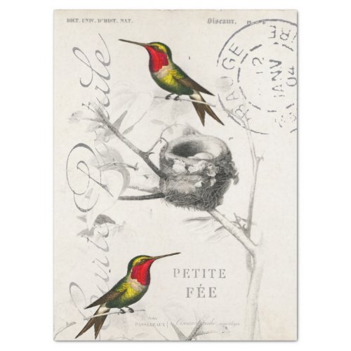 Hummingbird Nest Vintage French Postmark Decoupage Tissue Paper