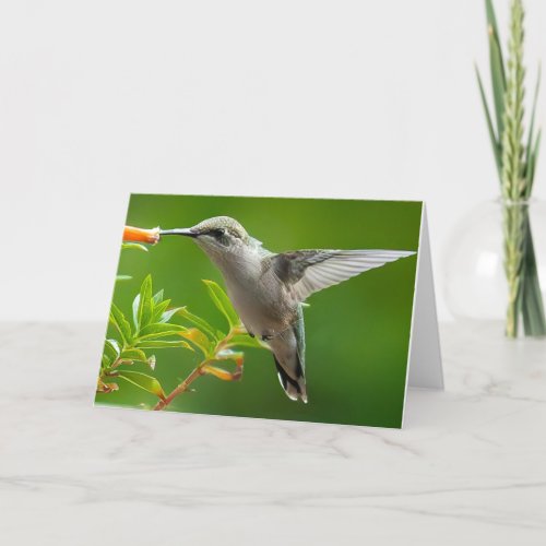 Hummingbird Notecard