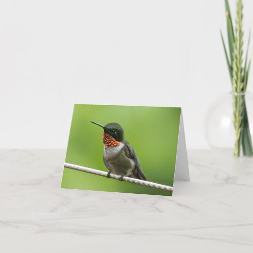 Hummingbird Notecard