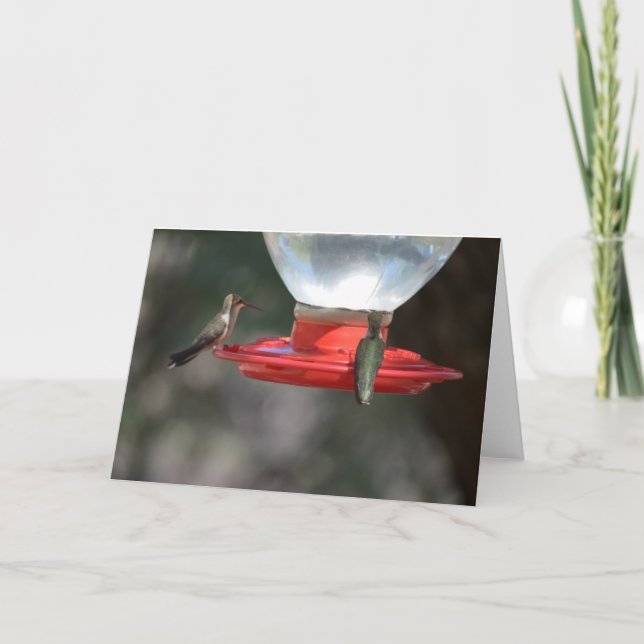 Hummingbird Notecard (Front)