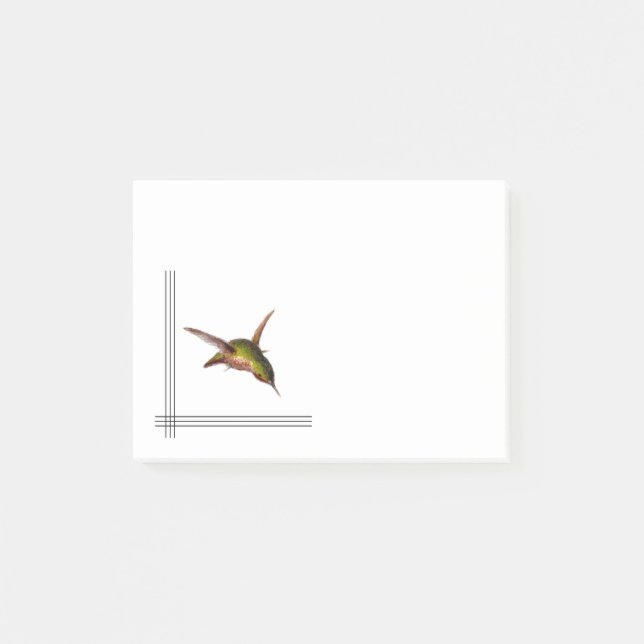 Hummingbird Notes (Front)