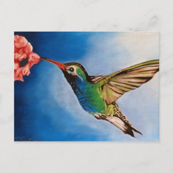 Hummingbird Oil Painting Postcard by MoonArtandDesigns at Zazzle