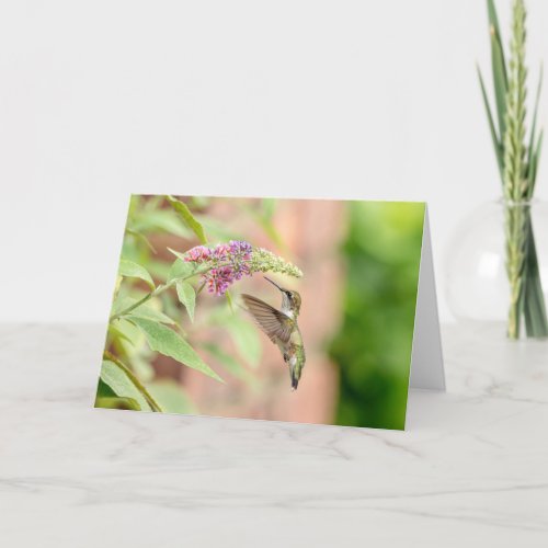 Hummingbird on a flowering plant holiday card