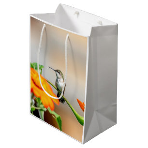 Hummingbird on a flowering plant medium gift bag
