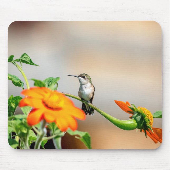 Hummingbird on a flowering plant mouse pad (Front)